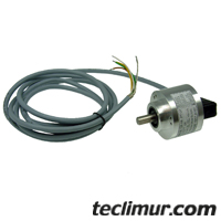 45181_geesink_979921